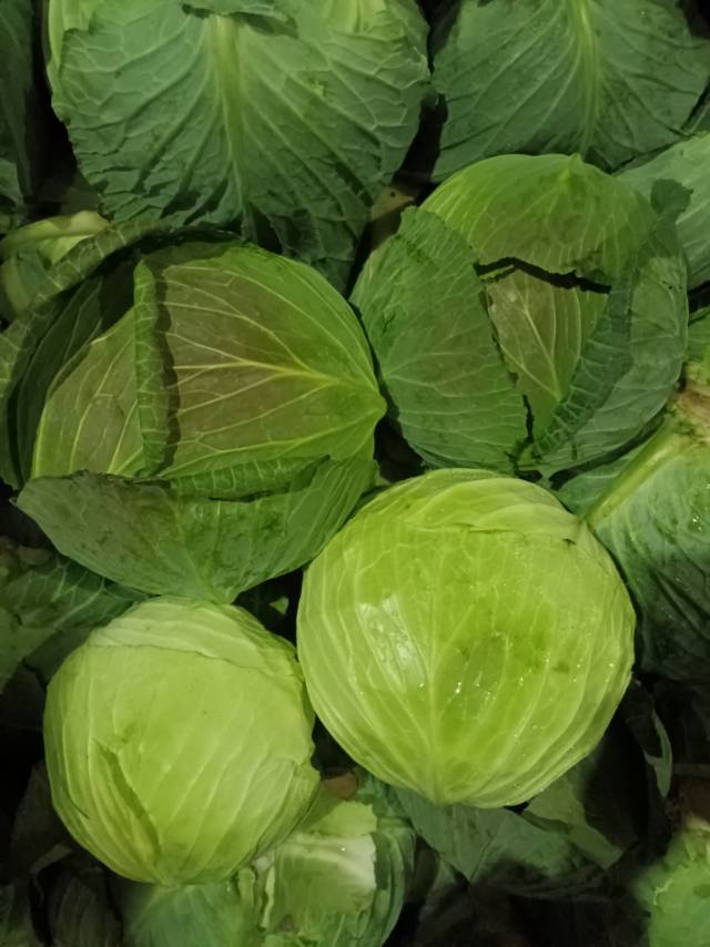 莲白1个约2斤
