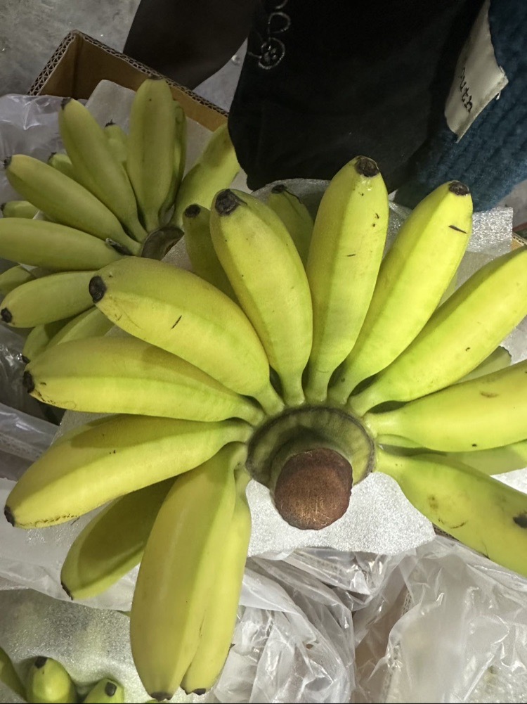 400g~450g/份【软糯香甜】云南高山香蕉放黄及食