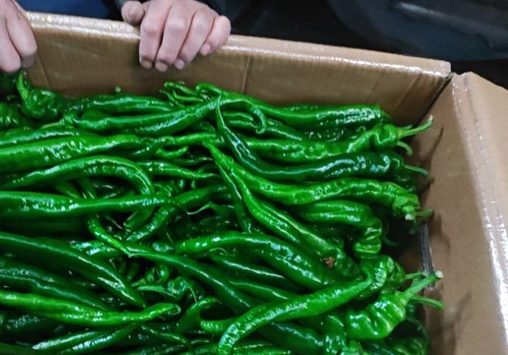 500g~530g/袋 | 新鲜螺丝椒