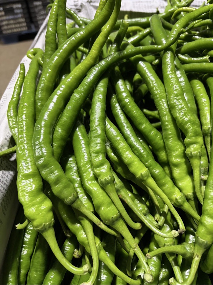 500g~520g/袋 | 新鲜二荆条