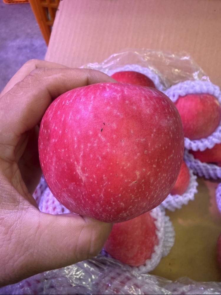 700g~800g/盒 | （4枚盒装）正宗甘肃红富士苹果