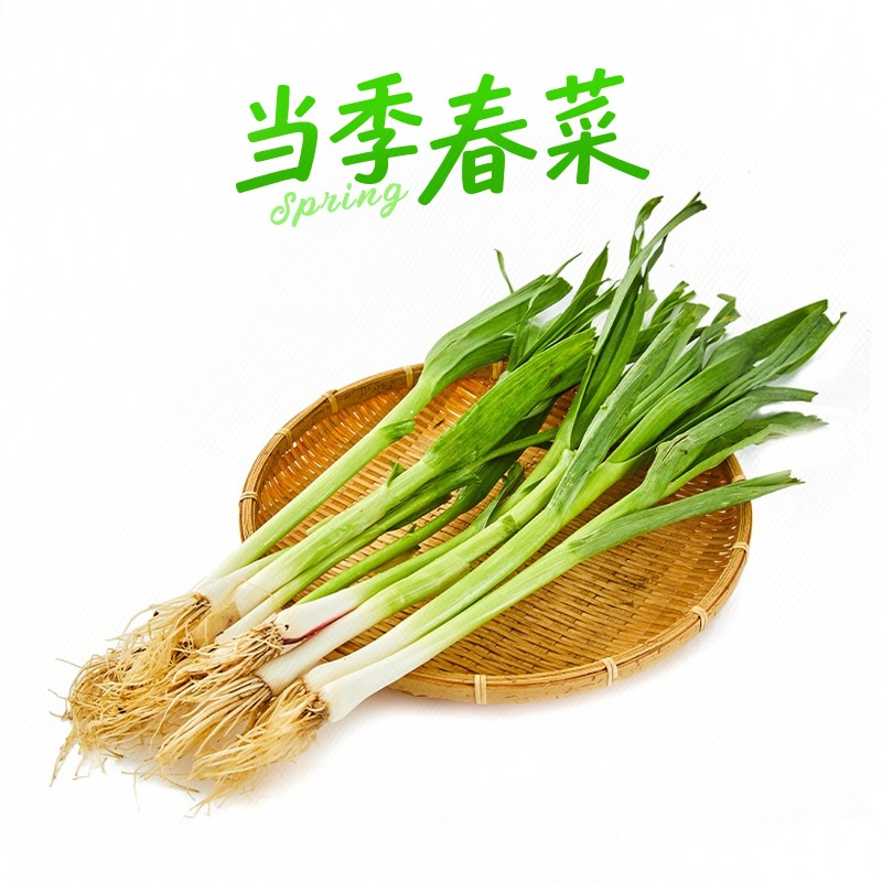 500g/份 |  新鲜带泥红头蒜苗