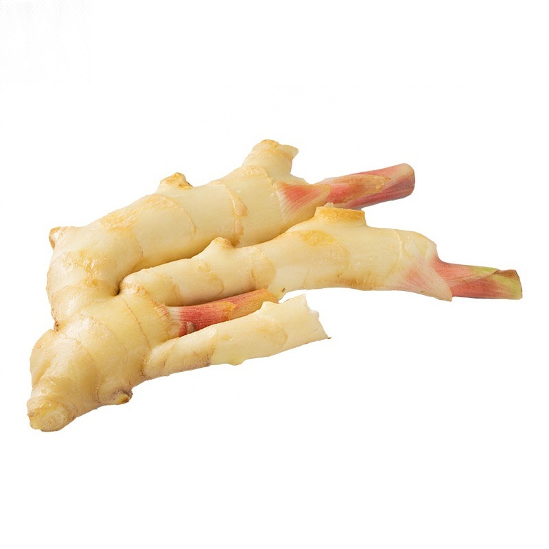 500g±50g/份仔姜  