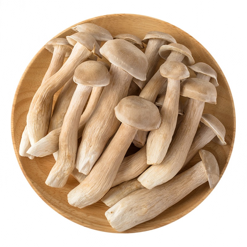 500g±30g/份 鹿茸菇