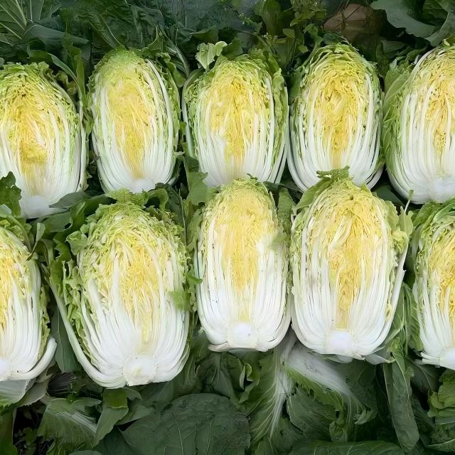 500g±100g/份大白菜
